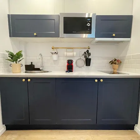 Renting - Fersen - 2 Vieil - Ac - Safranier - Big Terrace 公寓 昂蒂布